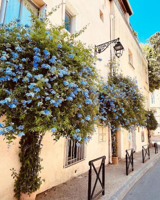 L'appart aux fleurs bleues Arles Extérieur photo